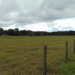 33916  COUNTY ROAD 437  ,SORRENTO,32776