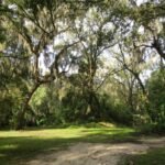 4609  JOHN MOORE RD ,BRANDON,33511