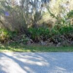 D ALLYON DR,NORTH PORT,34287