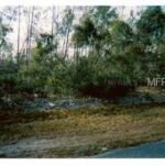 PAUL PAPER ST,DELTONA,32725