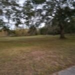7834,7846 BOYETTE RD,WESLEY CHAPEL,33545